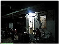 Mahonylaan - nr. 0115